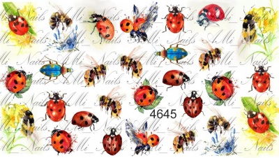 Слайдер Дизайн Ami_Nails 4645